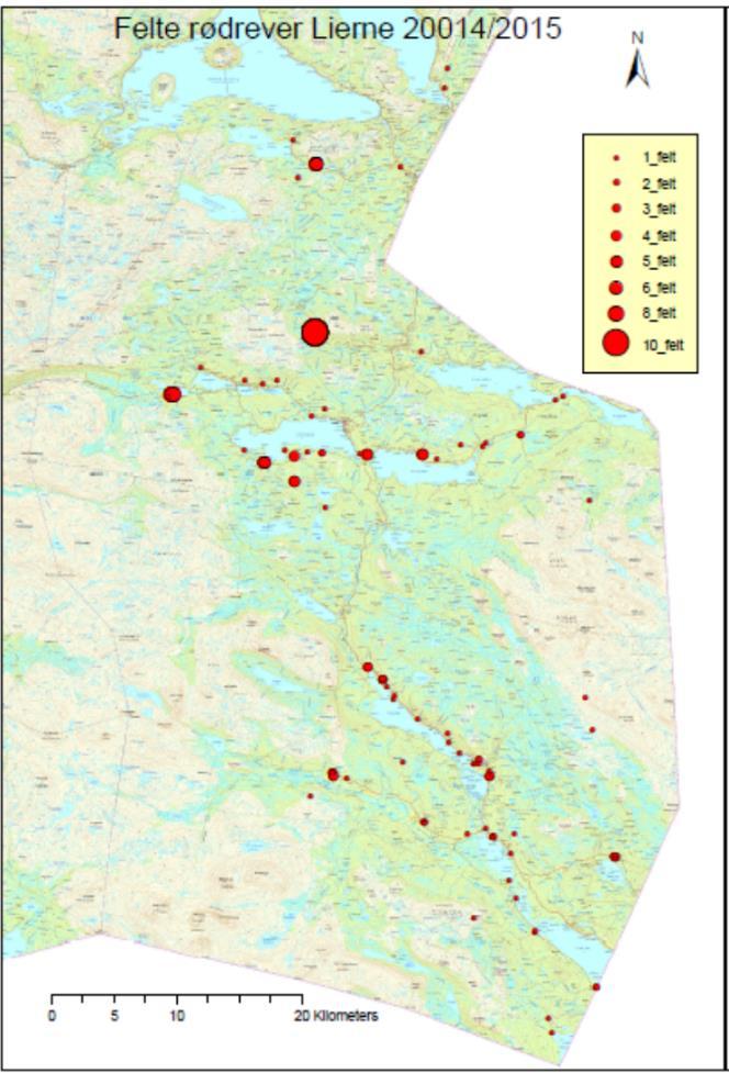 Av disse kartfremstillingene ser man at uttaket av rødrev i Lierne i all hovedsak har foregått i lavereliggende deler av kommunen (skogsterreng), og at det er relativt god spredning innenfor de to