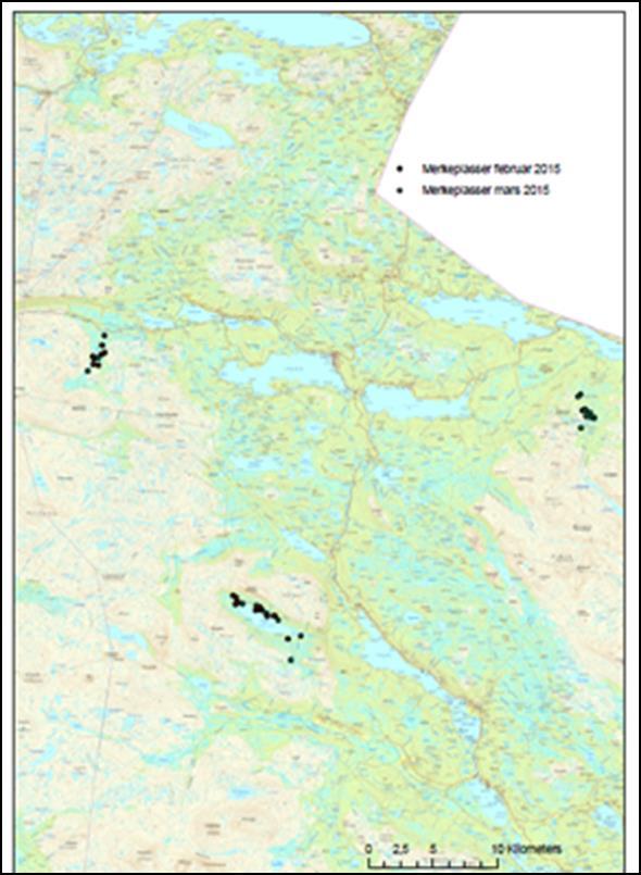 ÅRSRAPPORT 2015: Radiomerking og oppfølging av liryper i Lierne 2015 (Høgskolene i Nord- Trøndelag og Hedmark) Høgskolene i Nord-Trøndelag og Hedmark og Nord-Trøndelag takker med dette