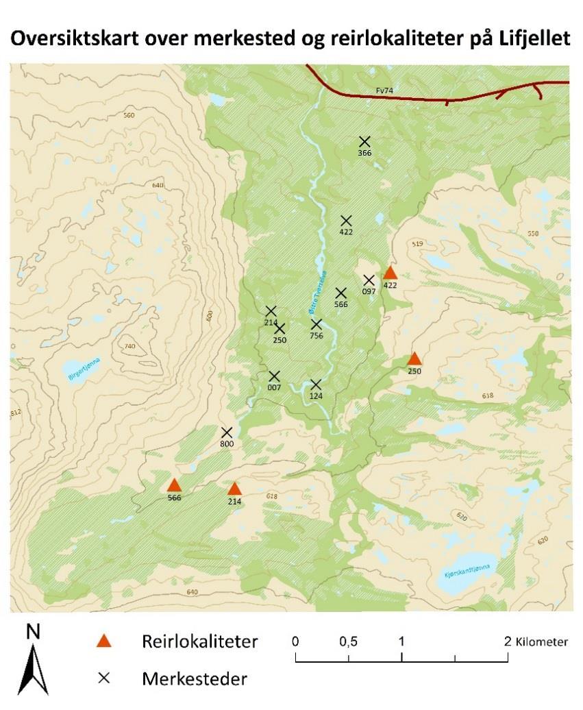 hekkelokaliseringer