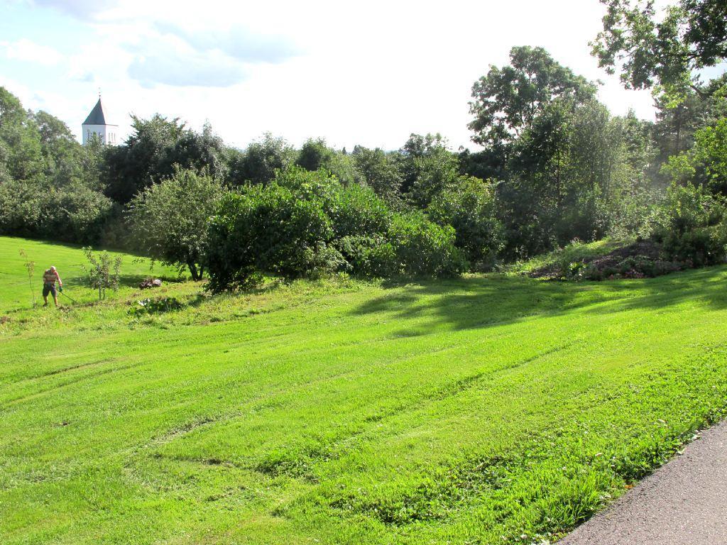 Østlandet Skjøtselsplan for Øvre Ullern, slåttemark, Oslo kommune. Engrest mellom plen og skog i borettslag på Øvre Ullern, det søndre området sett mot sør. Foto: Anders Thylén.