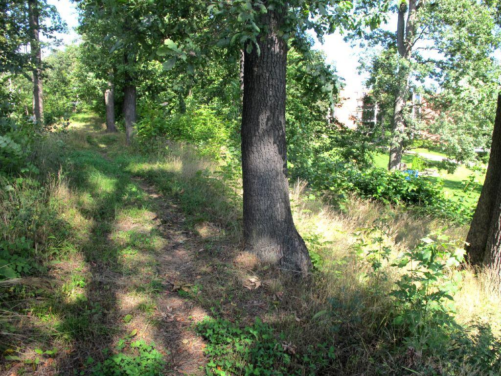 Nedre bilde: Hagemarken, sett