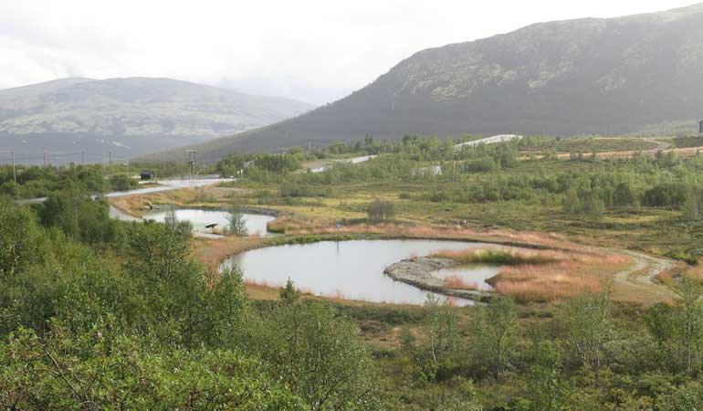 214 av Norges geologiske undersøkelse (NGU) Grunnvann har stor økologisk betydning i mange norske vassdrag. Det sikrer minstevannføring både i perioder uten nedbør og når nedbøren faller som snø.