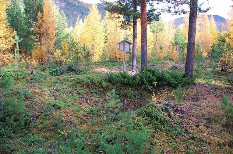 Figur 10: Skilt satt opp i sikringssonen til en fangstgrop, Id 47457-2. Foto: Stine Barlindhaug, NIKU 2007. Figur 11. Gårdshaug, Id 63521-1 hvor det er planert ut en skiløype.