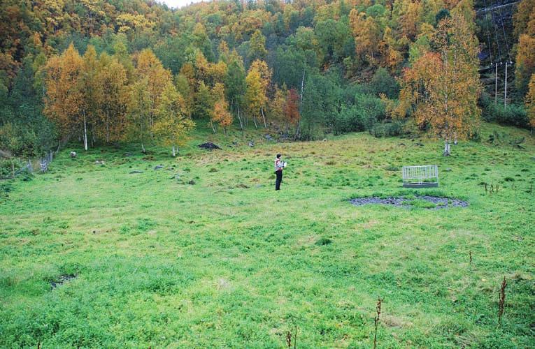 Figur 15: Område hvor det tidligere lå tre gammetufter, Id 8033. Foto: Stine Barlindhaug, NIKU 2007. Figur 16: Stine Barlindhaug står på kabelgrøften gravd tvers over gårdshaugen, Id 63535-1.