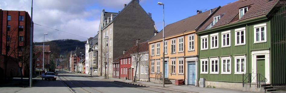 Det bygges i størrelsesorden 80 90 holdeplasser langs linjene utenfor Kollektivbuen. Disse holdeplassene blir noe enklere enn i Kollektivbuen.