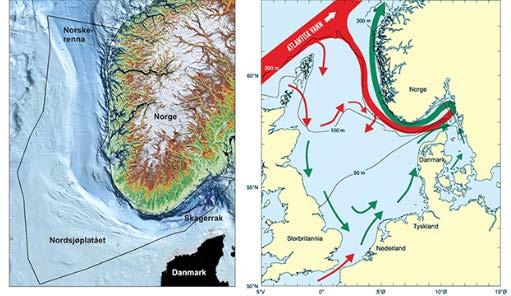 5 Områdebeskrivelse Grundige beskrivelser av miljø- og naturressurser i Snorre-området er gitt i Forvaltningsplanen for Nordsjøen og Skagerrak fra 2013 (Forvaltningsplanen), /12/ og i fortsatt