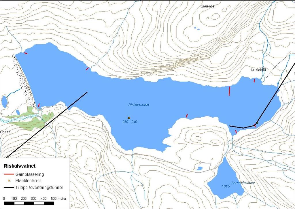 .6. Riskalsvatnet Riskalsvatnet (innsjønummer 89) ligg i Nysetelvi i Årdal kommune (figur 3). Vatnet er,3 km² stort, høgaste regulerte vasstand er 98,3 moh. og reguleringshøgda er 35 meter.