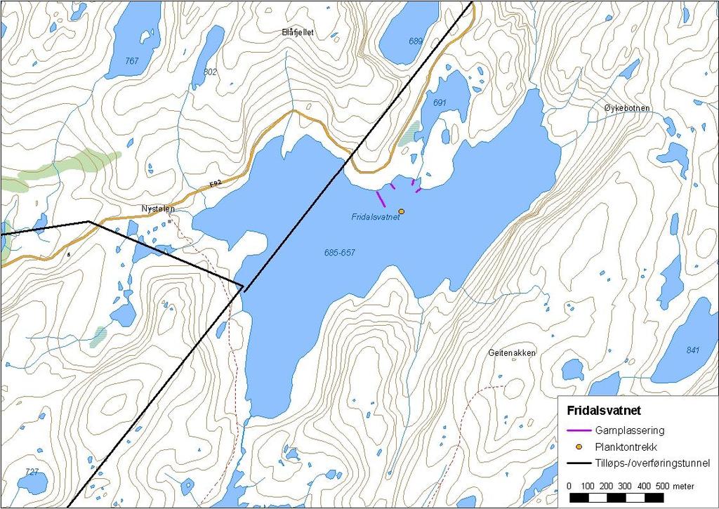 Figur. Fridalsvatnet med garnplassering og stasjon for planktontrekk.... Fisk Fridalsvatnet vart prøvefiska med seks botngarn, og tre av garna vart sett saman i ei lenkje (figur ).