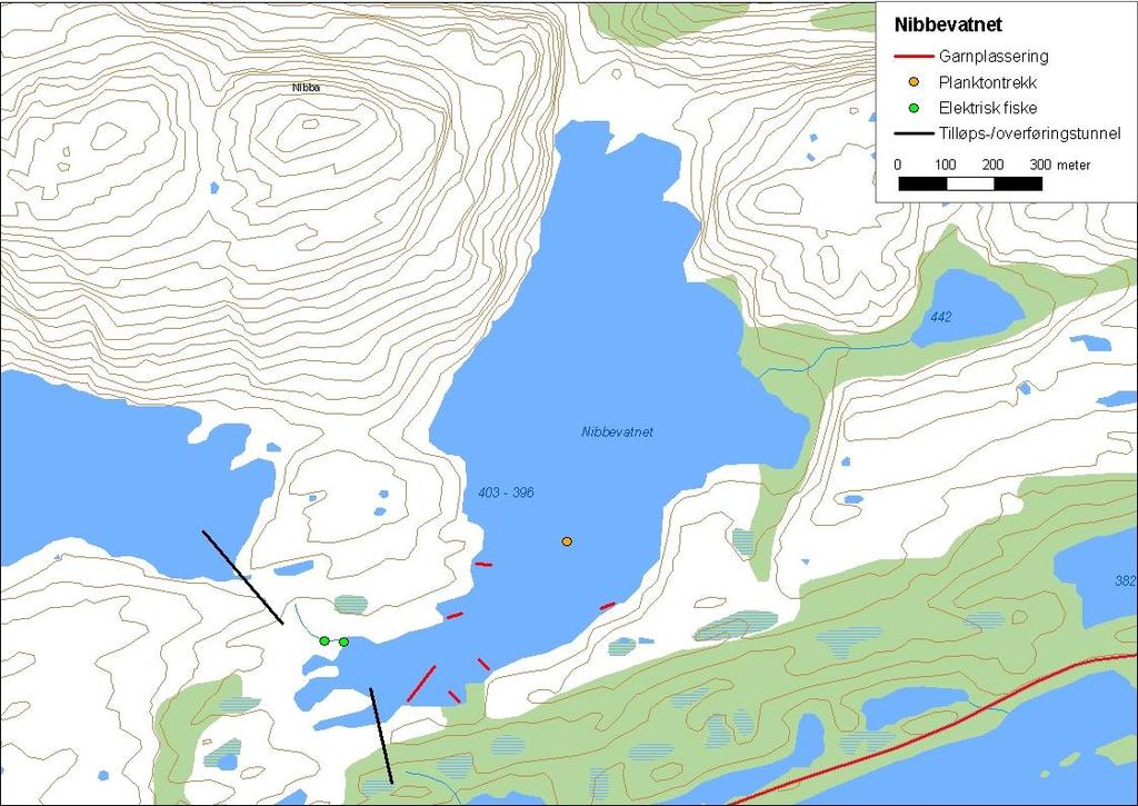 .3. Nibbevatnet Nibbevatnet (innsjønummer 797) ligg i Bortneelva i Bremanger kommune (figur 7). Magasinet er,53 km² stort, høgaste regulerte vasstand er 3,5 moh. og reguleringshøgda er 5,5 meter.