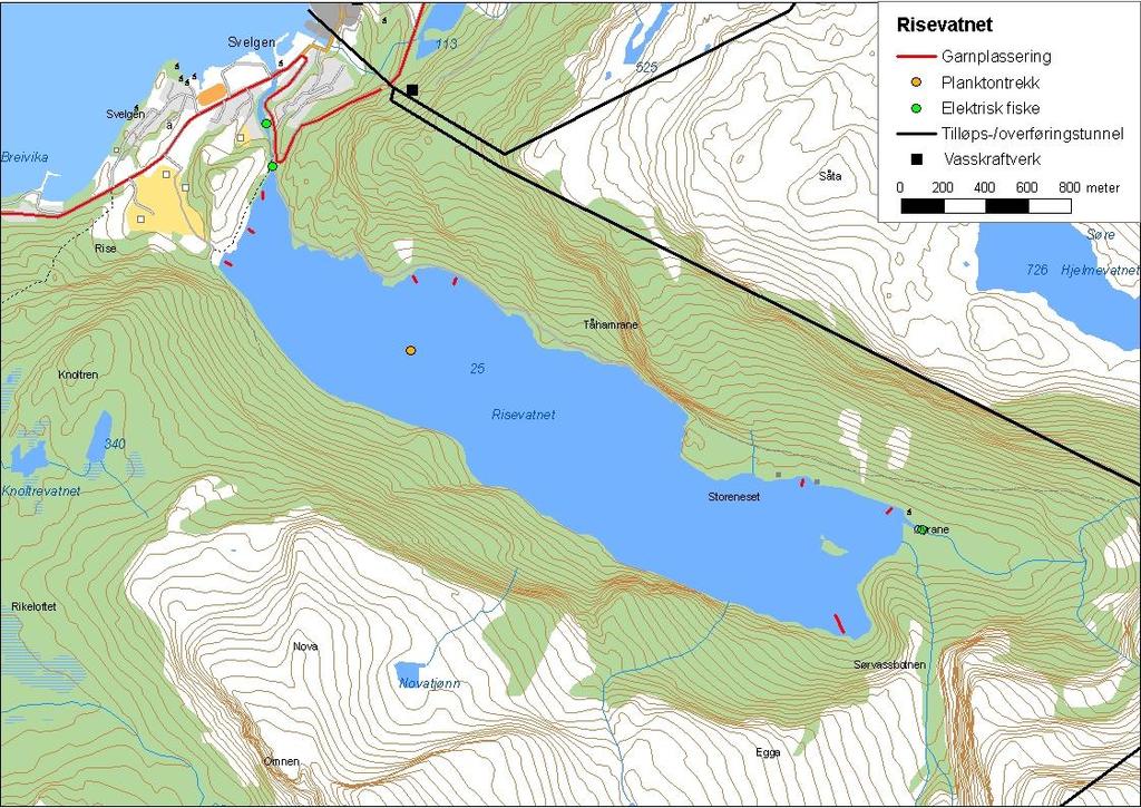 .3.3 Risevatnet Risevatnet (innsjønummer 786) ligg i Riseelva i Svelgen i Bremanger kommune (figur 7).