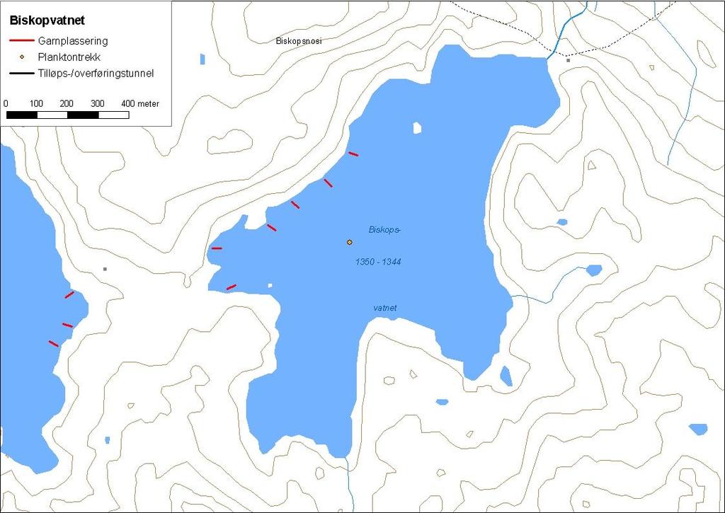 Figur 3. Biskopvatnet med garnplassering og stasjon for planktontrekk.... Fisk Biskopvatnet vart prøvefiska med seks botngarn (figur 3).