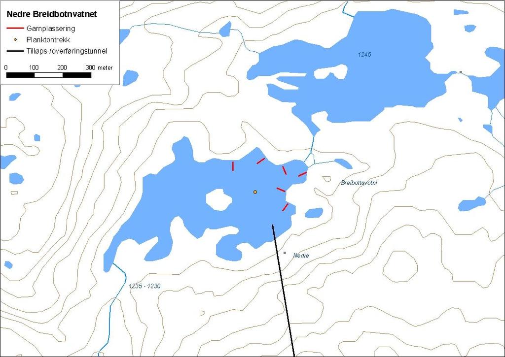 ..5 Nedre Breidbotnvatnet Nedre Breidbotnvatnet (innsjønummer 58) ligg i Breidbotnelvi i Årdalsvassdraget i Årdal kommune (figur 3).