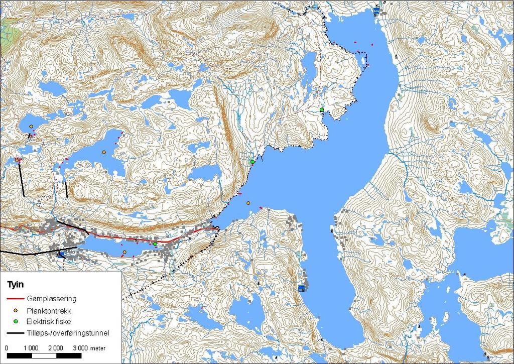 .. Tyin Tyin (innsjønummer 573) ligg i Årdalsvassdraget i Årdal kommune (figur 9). Vatnet er 33,9 km² stort, høgaste regulerte vasstand er 8 moh. og reguleringshøgda er meter.