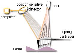 5-5 μm thick How to measure forces?