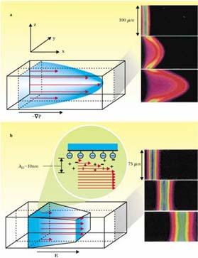 Fluid dynamics Multiphysics