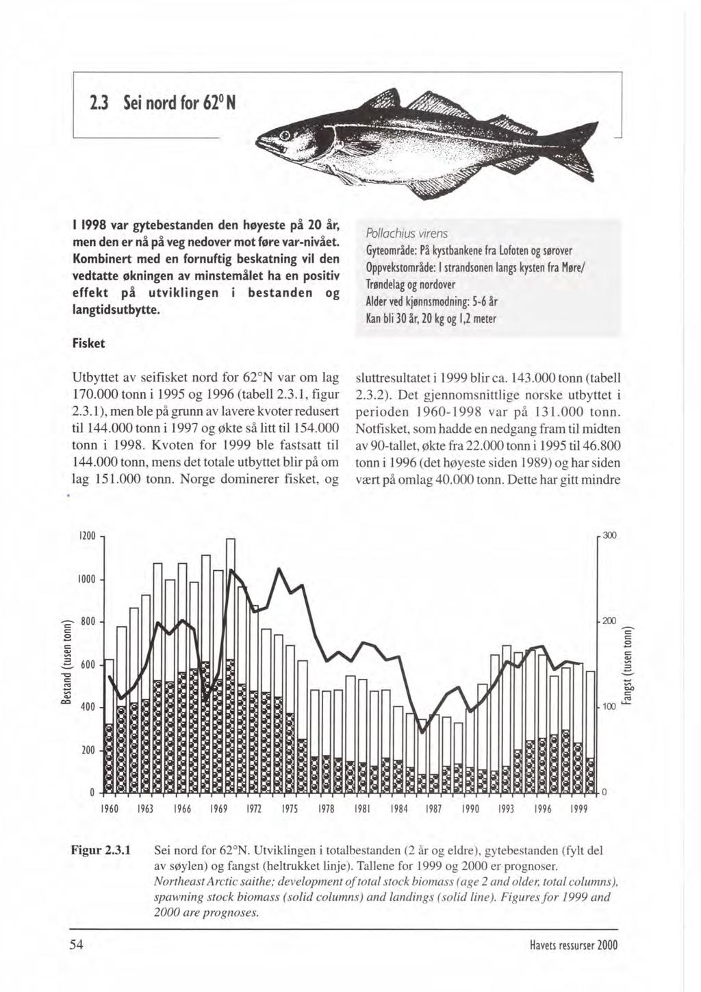 2.3 Sei nord for 62O N 1 1998 var gytebestanden den hsyeste på 20 år, men den er nå på veg nedover mot fere var-nivået.