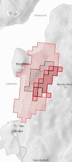 Vedlegg: Vurdering av reell fare for steinsprang og ras. Snø- og steinsprang Det er ikke fareområder i eller ved området, men aktsomhetsområder.