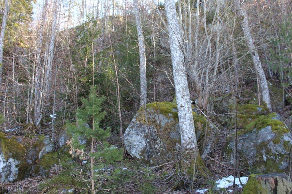 Nærbilde av stein i ura under Nesfjell tatt