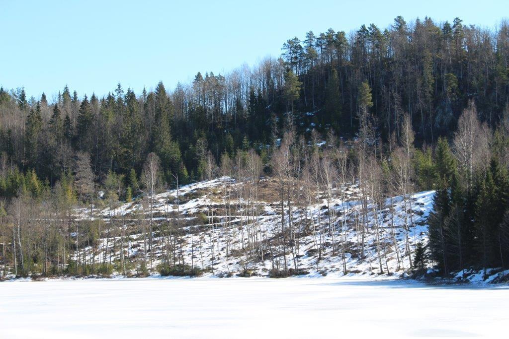 Foto tatt fra fylkesveien over Ubergsvann