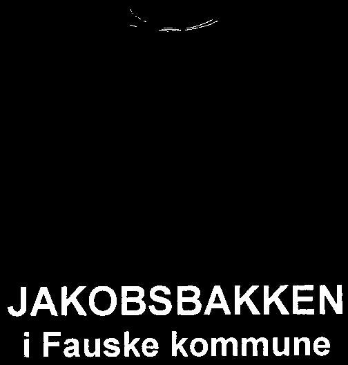 Hensikten med planen er å legge opp retningslinjer for gjenoppbygging/tilbakeføring av Jakobsbakken slik det var i tiden frem til 1968 da gruvedriften på Jakobsbakken ble nedlagt.