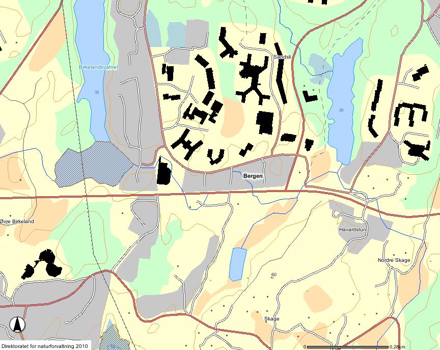 Yngleområde for andefugler Figur 8. Sørlige deler av Birkelandsvatnet er registrert som yngleområde for andefugler (brun skravering) med viltvekt 3 (kilde: http://dnweb12.dirnat.no/nbinnsyn/).