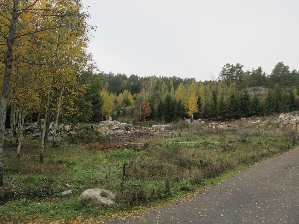 hyttetomter Skog og