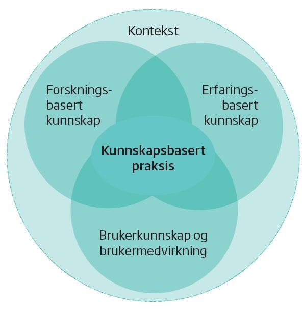 2. Innledning 2.1 Veileder versus retningslinje Helsedirektoratet beskriver skillet mellom nasjonal retningslinje og veileder i rapporten IS-1870 (Helsedirektoratet, 2012).