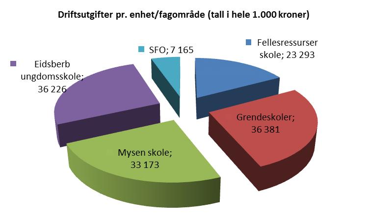 sterkt økende. Dette skyldes i hovedsak at andelen som får opplæringen alene er økende.