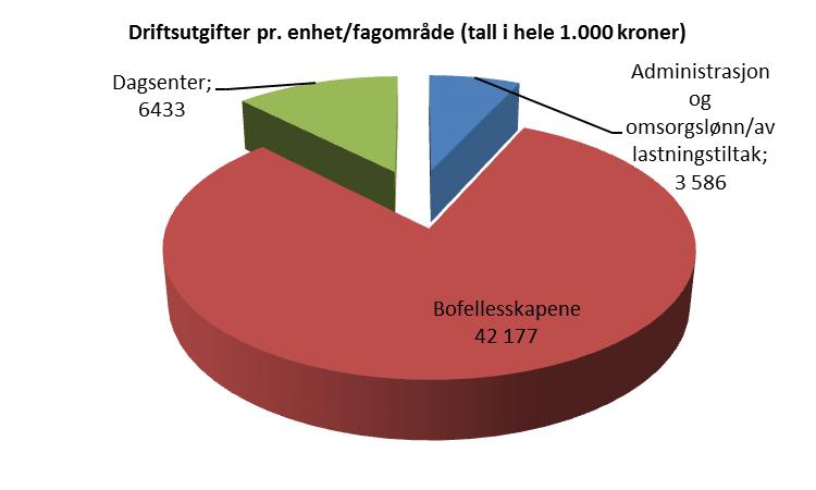 Organisering Virksomheten er organisert med - Administrasjon og konsulent - 6 bofellesskap som ledes av 3 boledere - 1 dagsenter som ledes av en leder i 50 pst.