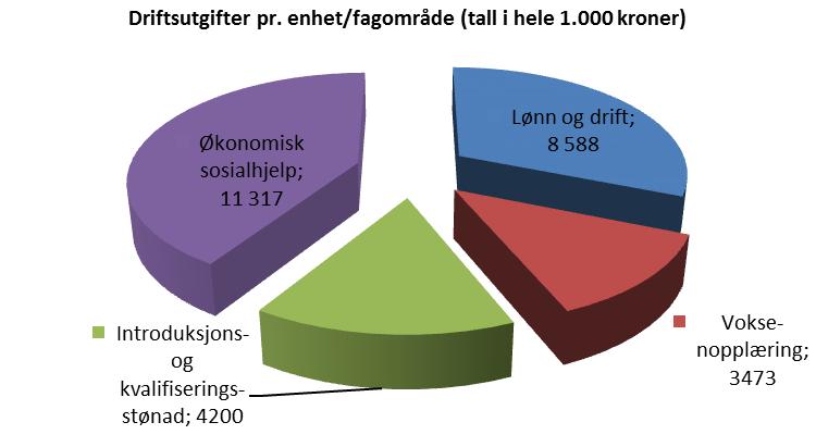 Fokusområder for virksomheten i 2014 NAV Eidsberg vil i 2014 ha et særskilt fokus på - Arbeidsrettet brukeroppfølging - Sikre sosialfaglig kompetanse v/kontoret - Nødvendig markedsarbeid - Sikre