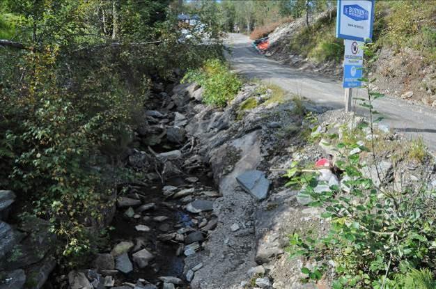 Prøvestdete «nedenfor» var sterkt preget av veiubygging, med både betongkant langs veien og også en del sprengstein i selve bekkeløpet (figur 3). Figur 3.