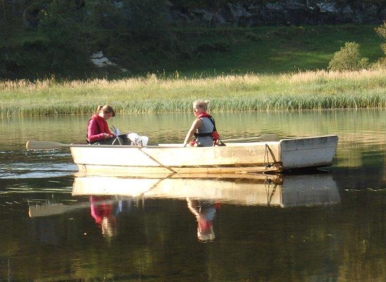 FORELØPIG VURDERING AV UTVIKLING Kartleggingen i 2016 viser en klar økning av både flotgras og krypsiv samlet i overvåkingsområdene i Ekso fra 2013 til 2016 (Bjelland & Johnsen 2013, Bjelland mfl.