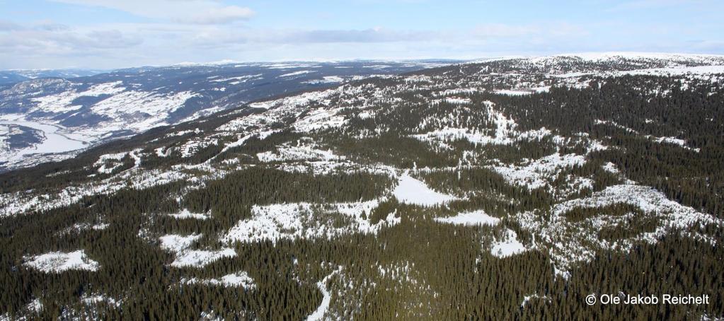 Planbeskrivelse for omregulering av reguleringsplanen Høghaugen Øvre i Hafjell 10 3. Reguleringsplanen for Lunnstanden. Planen ble vedtatt i Øyer kommunestyre den 25.10.2001.