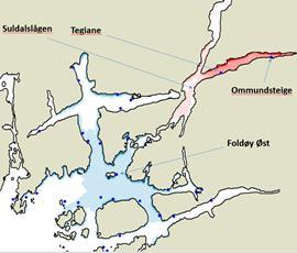 Grieg Seafood Rogaland AS Flytting av produksjonsvolum fra Foldøy Øst, Konsekvenser for villaks i nasjonal laksefjord Tillatt biomasse fra Foldøy Øst flyttes til de to lokaliteten i Hylsfjorden, som