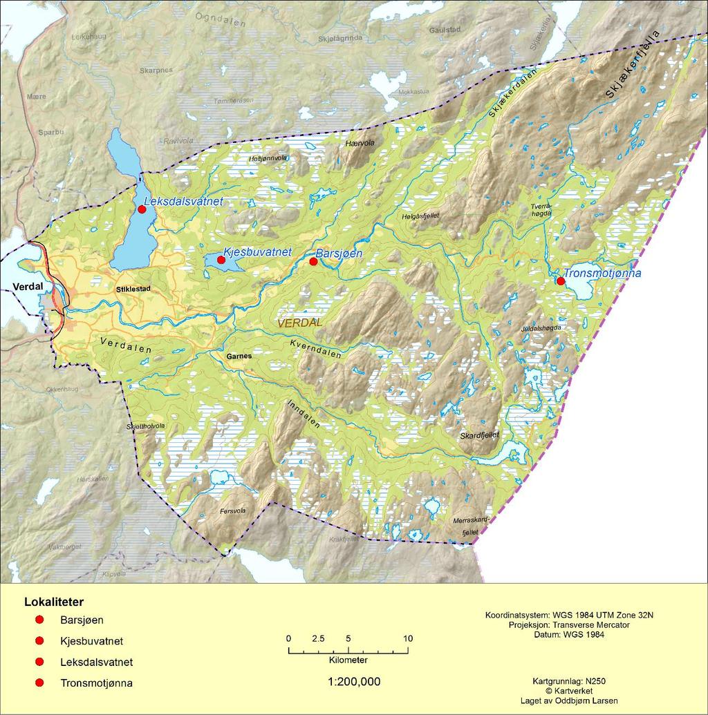 Figur 7. Det er registrert horndykker på fire lokaliteter i Verdal i løpet av undersøkelsene i 2007, 2010 og 2016. I 2010 og 2016 ble det registrert horndykker på alle fire lokalitetene.