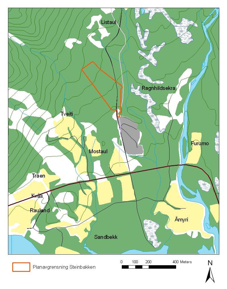 Området Planområdet Steinbakken ligger langs Kromvikvegen, like nord for Rauland.