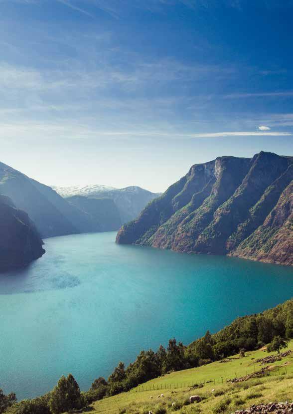 Naeroyfjord / Aurlandsfjord Årdal a perfect starting point for various day trips. You can use Årdal as a base for numerous day trips and interesting experiences in the vicinity.