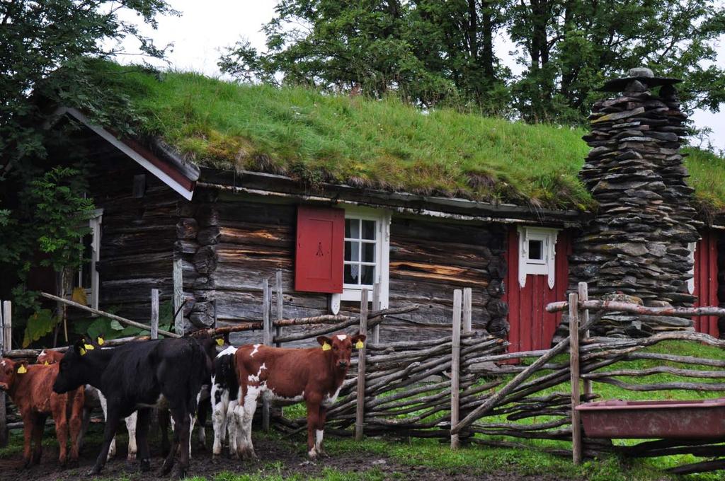 FYLKESMANNEN I HEDMARK Landbruksavdelingen DEL 2 REGIONALT