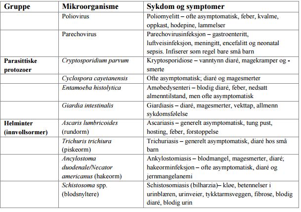 Tabell 1-4 Eksempler på patogene mikroorganismer som kan komme fra menneskelig avføring, med tilhørende sykdommer og symptomer (tatt av Friborg i sin mastergrad avhandling 2015 Tilpasset fra: Heistad