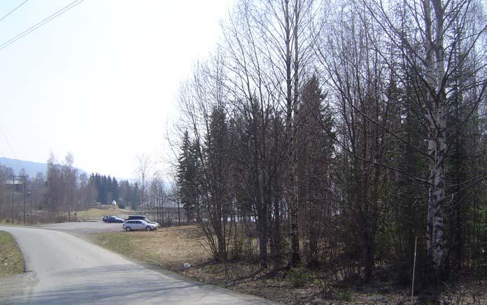 Skogsområdene nord for Minneelva er relativt åpne og til dels småkupert. Anbefaling landskap: Alle alternativene har negative konsekvenser for landskap/kulturlandskap. Alt.