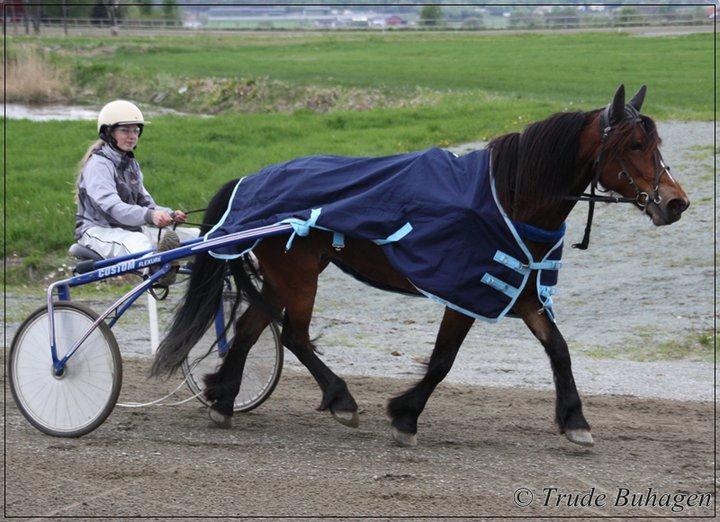 Byggma group Cup skal omfatte alle løp som arrangeres på Skoglund Travbane. Unntatt er: Prøveløp, mønstringsløp, sponsorløp, ponniløp og andre uten ordinær premieskala.