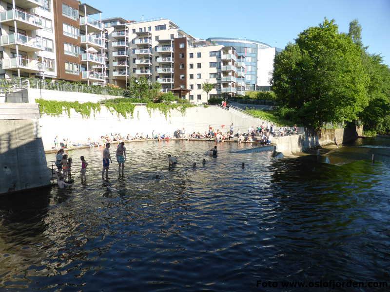 NYDALEN BADEPLASS (AKERSELVA VED RING 3) «Bading i Nydalsdammen anbefales ikke de første timene etter