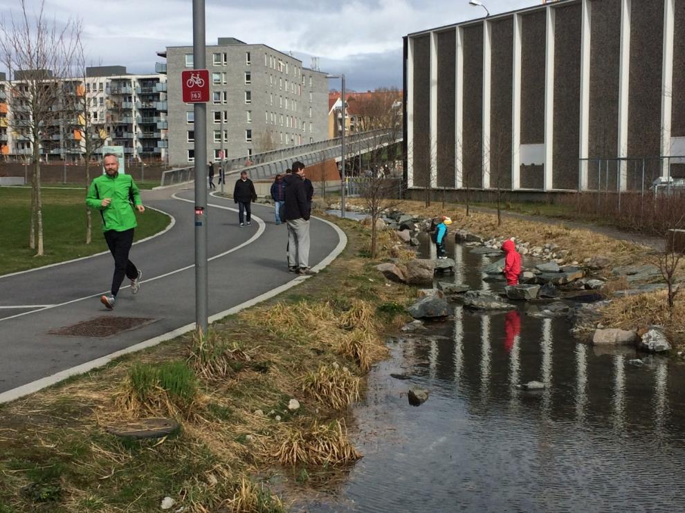 Barns ferdsel og lek i og langs vassdrag og dammer 3.