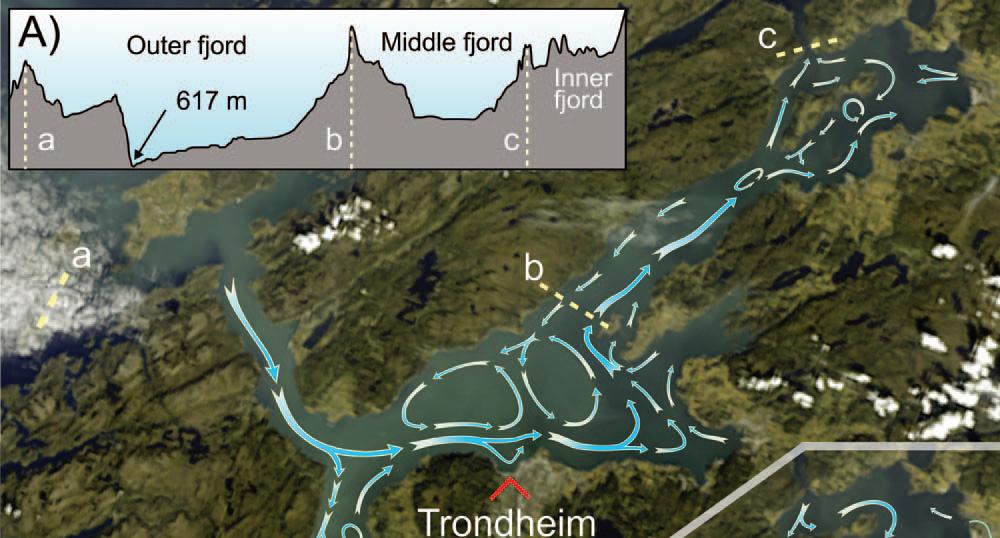 Figur 4. Hovedstrømmene i overflaten ved stigende (fløende) sjø (B) og fallende sjø (C). Anlegget er markert med rød trekant.