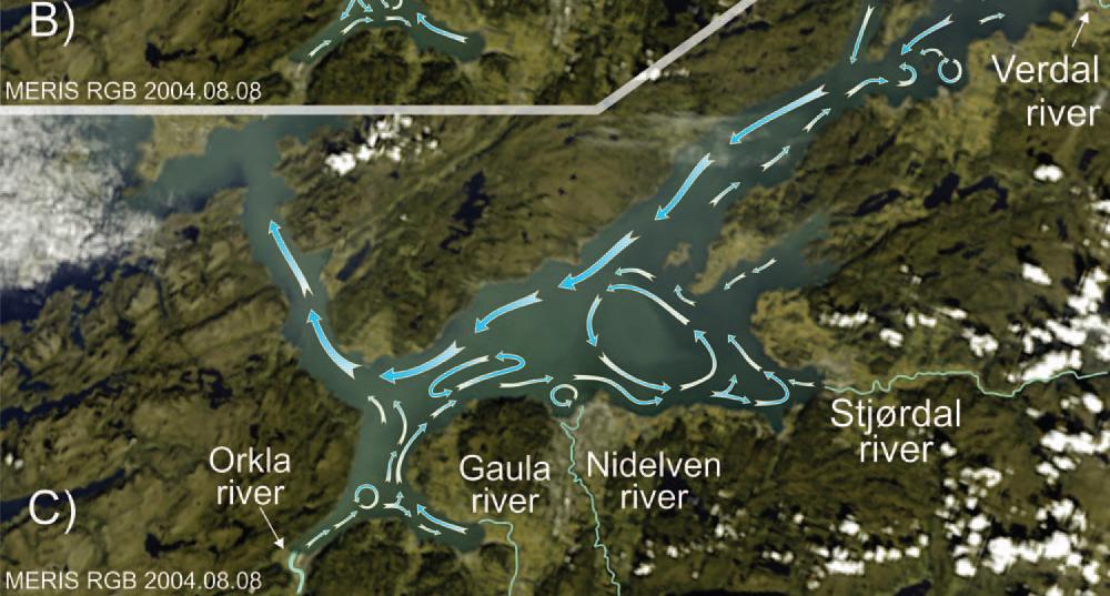 Det er ingen grunn til å vente nedsatte oksygenkonsentrasjoner lokalt ved Kvithylla eller i nærsonen til deponeringsstedet, spesielt dersom avfallet legges ut relativt grunt.