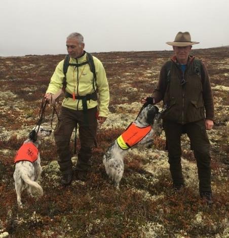 Slipp 5: Hundene veksler om føringen og jakter glimrende i li med mye tung vegetasjon og sidevind.