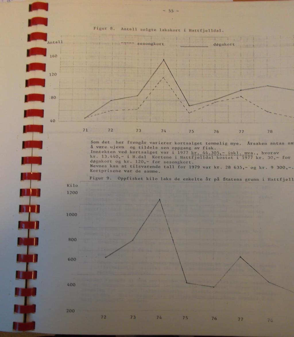 Side 12 av 17 Det er grunn til å undre seg over hvilken vektlegging nasjonalt laksevassdrag har fått i denne planen. Riktignok sier St. prp. 53 at dette er en av føringene for planarbeidet.