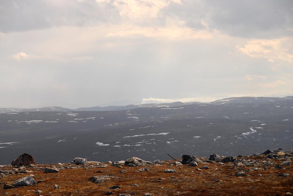 Viksjøfjell Utsikt fra Viksjøfjell sørover.