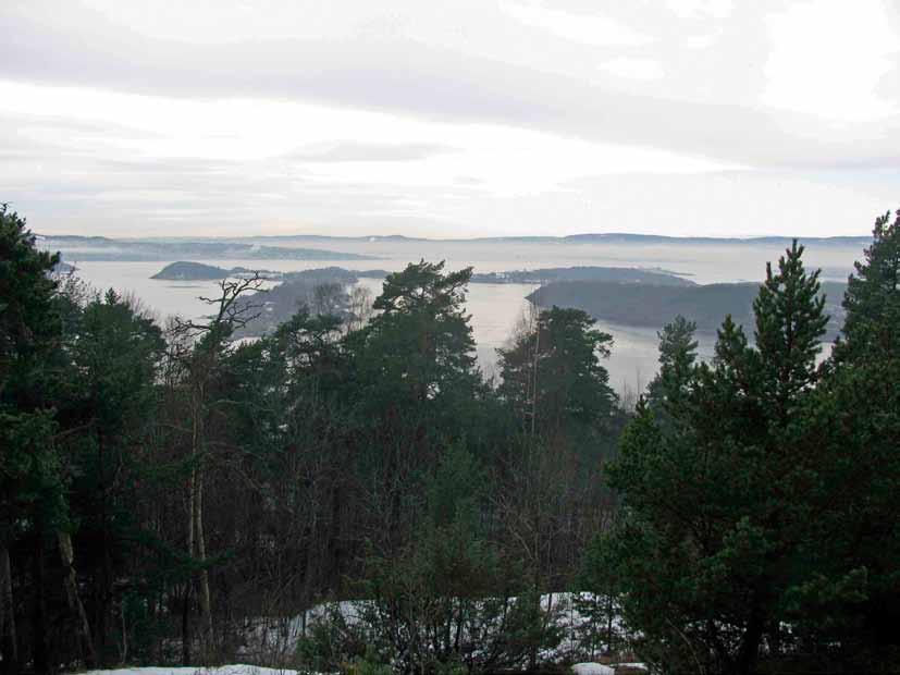 innsekter i trevirket eller lager en spettesmie for å kile fast kongler