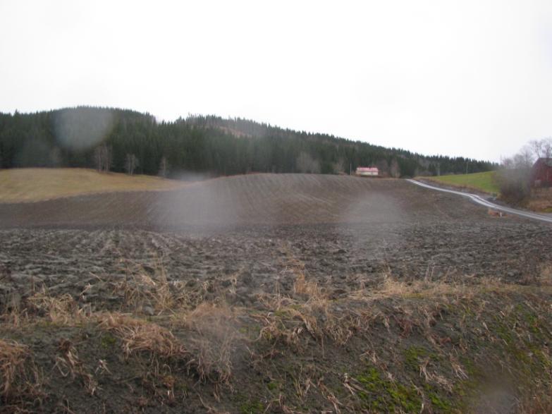 Vurdering: I følge bestemmelsene til kommuneplanen for Verdal kommune, kan det innenfor LNFsone 2 tillates spredt boligbebyggelse samt fradeling til slikt formål i et omfang at 150 boligenheter.